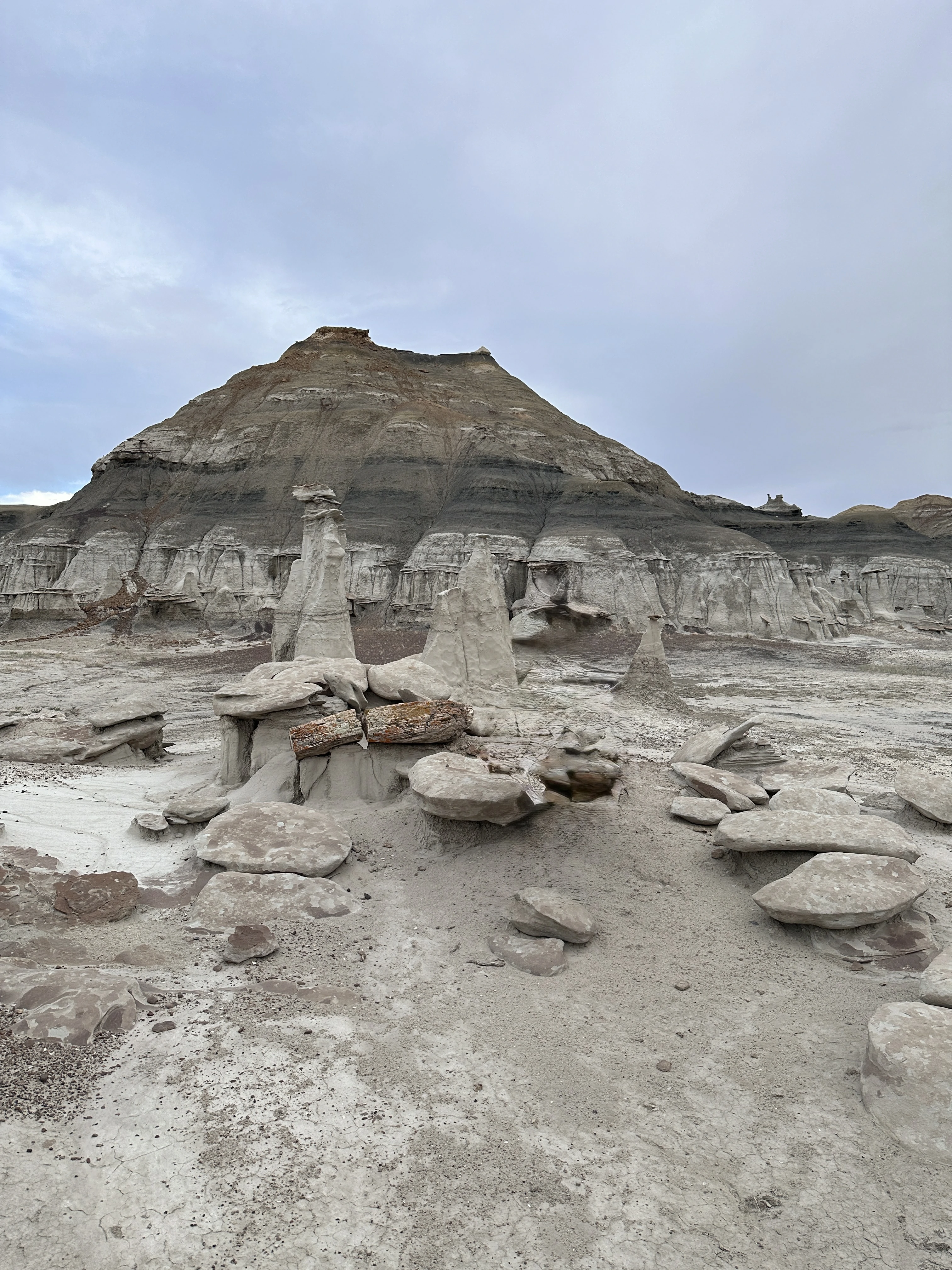 Bisti Badlands cover