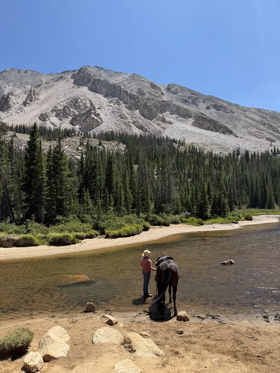 Browns Creek in Nathrop, CO horse camping cover photo