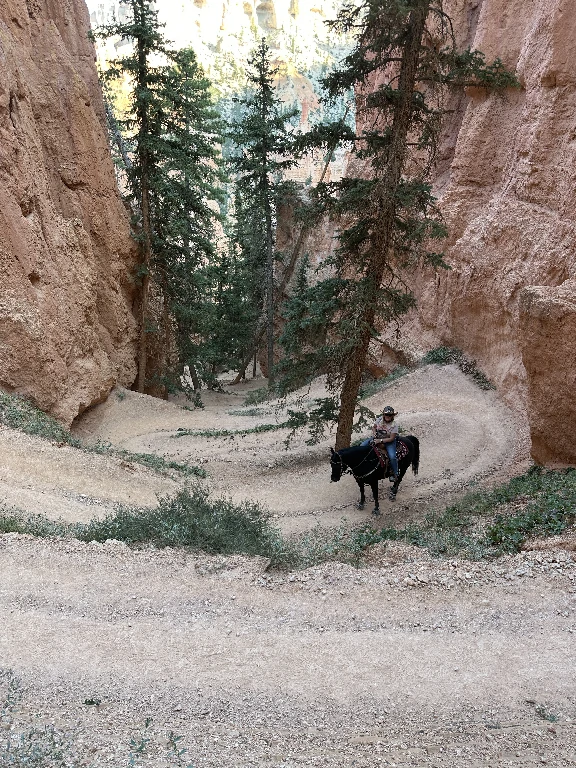 Miller's Knoll cover