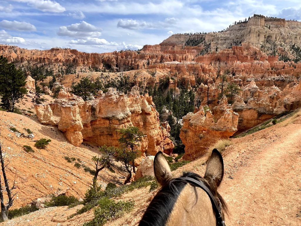 Bryce Valley Ranch RV and Horse Camp cover