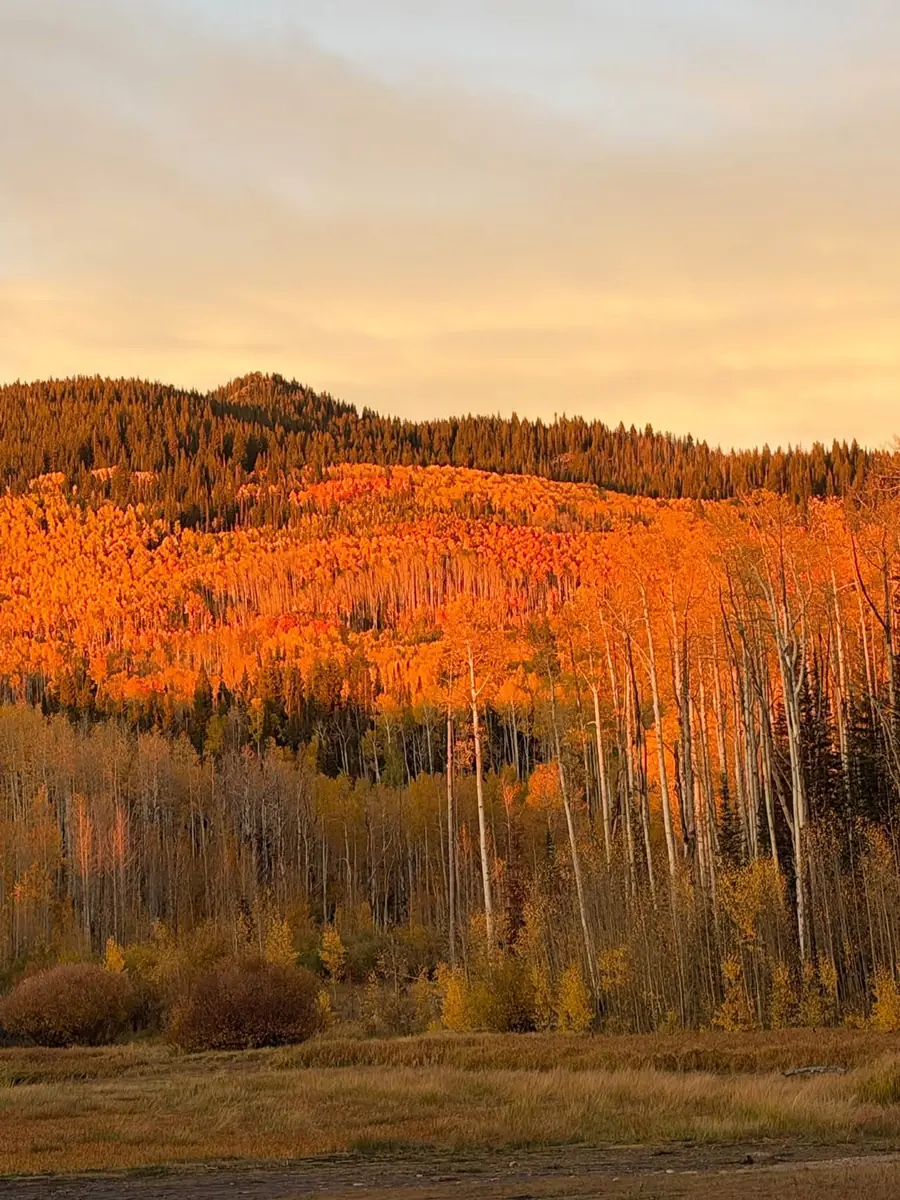Freeman Reservoir Campground in Craig, CO horse camping cover photo