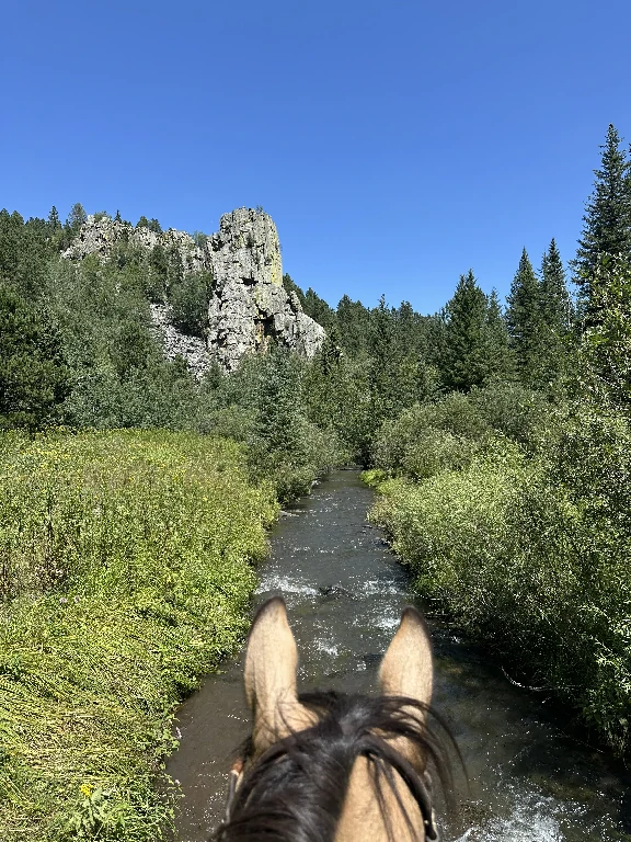 Hay Creek Ranch Horse Camp cover