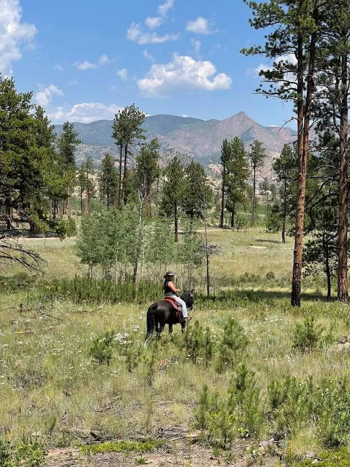 M Lazy C Ranch horse camping cover photo