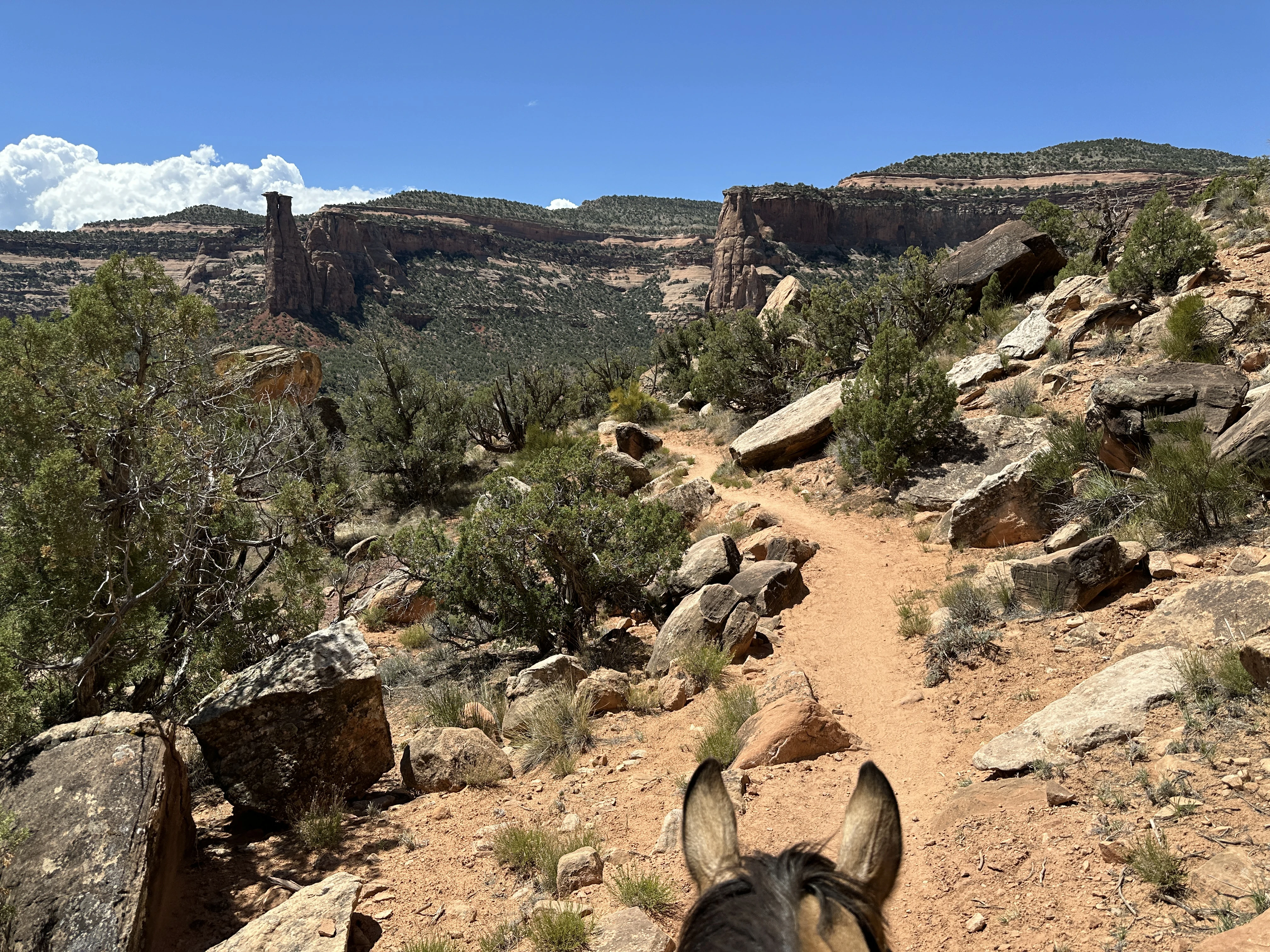 Mesa County Fairgrounds - CO National Monument & Dominguez Canyon cover