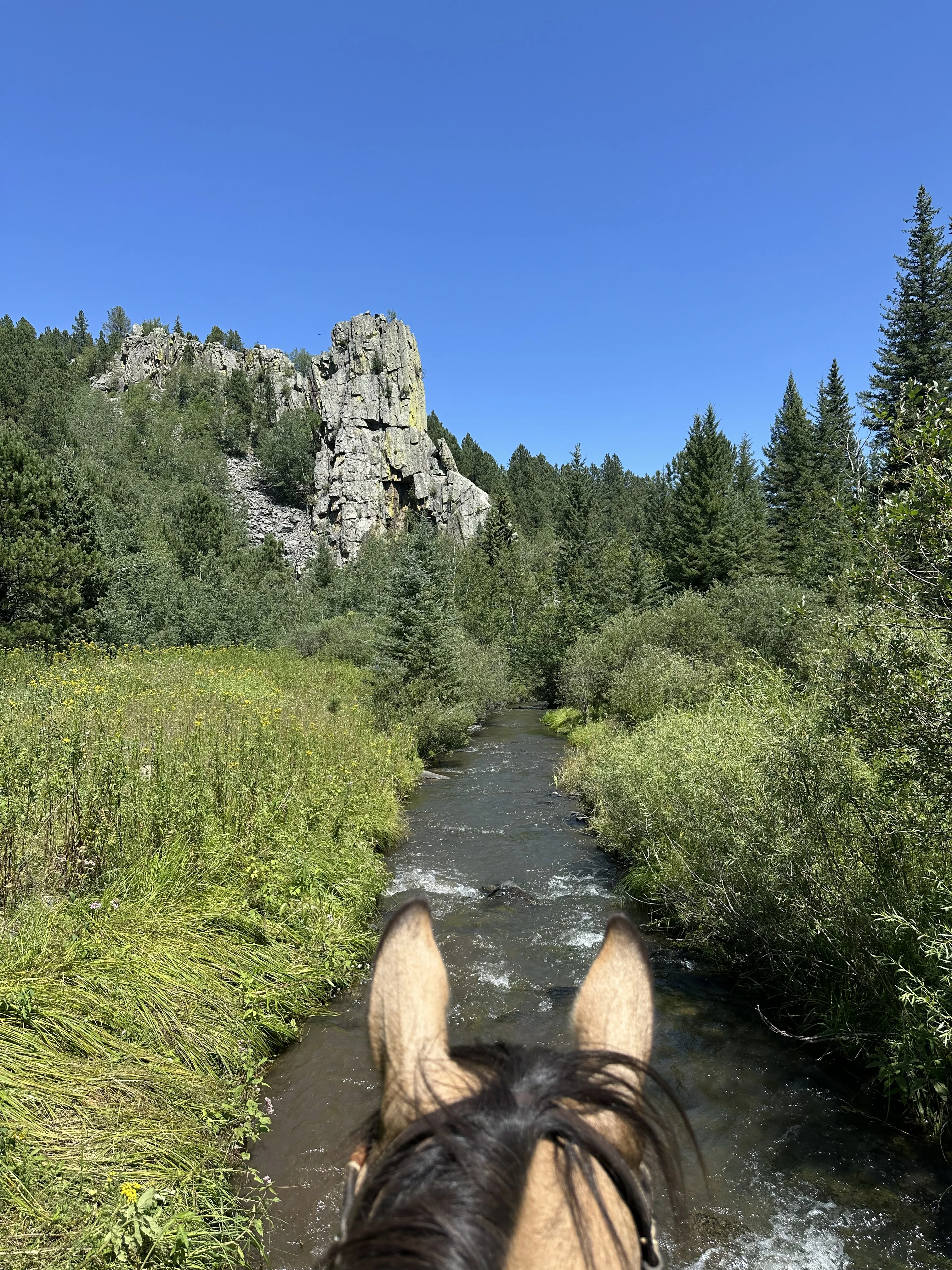 Hay Creek Ranch Horse Camp cover