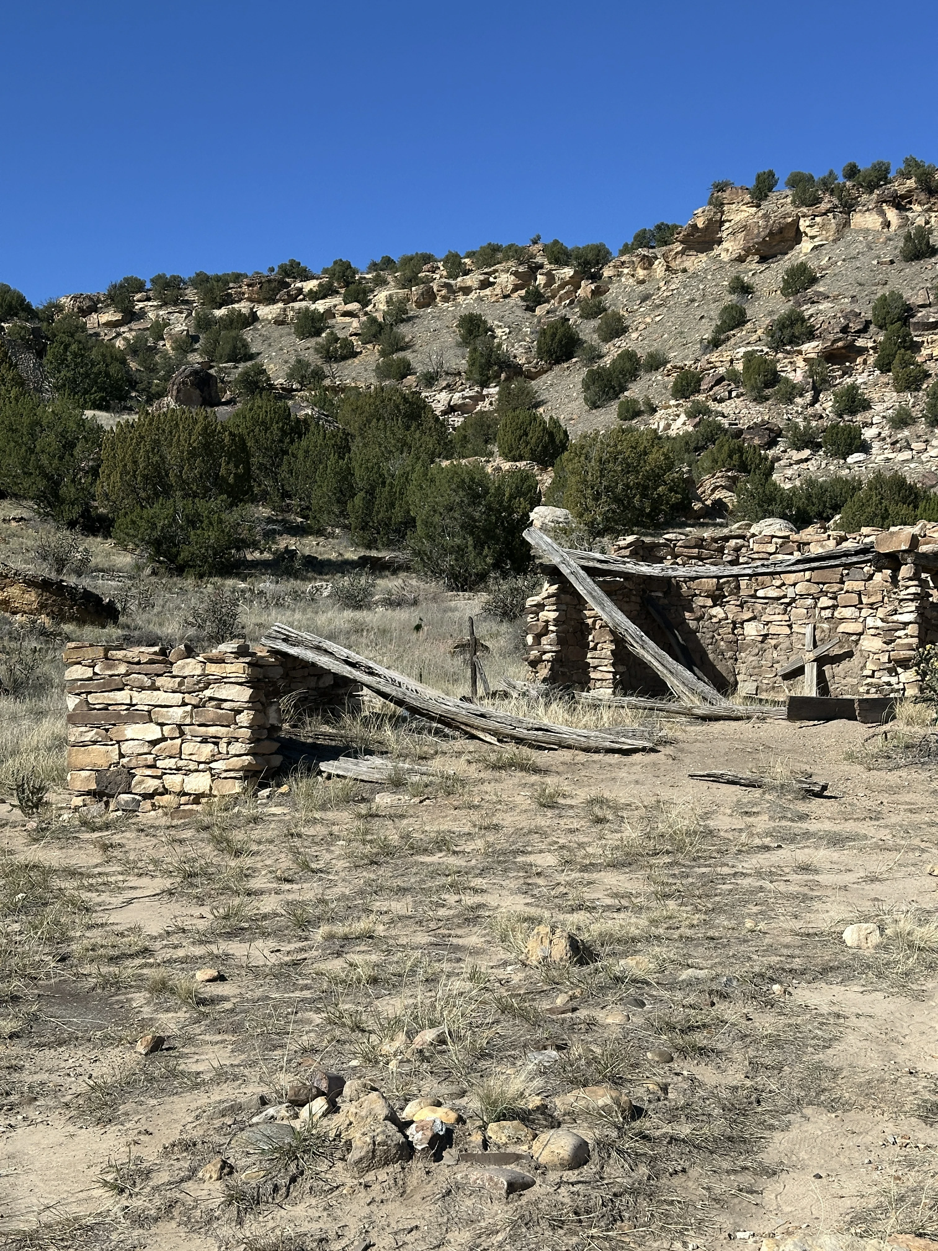 Picket Wire Trail - Dinosaur Tracks cover