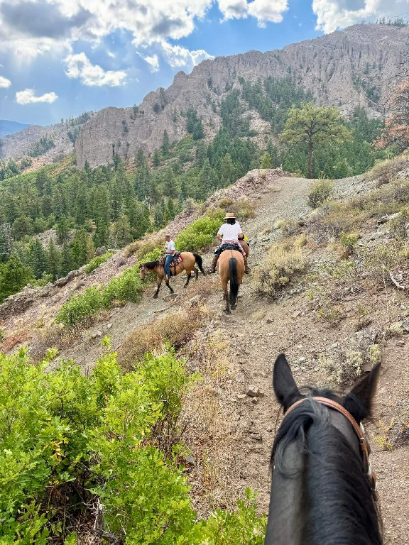 Soap Creek Campground cover