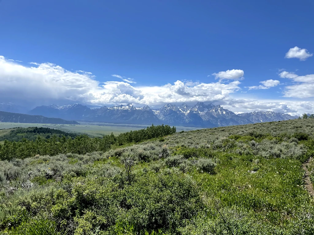 Valar Horse Facility cover