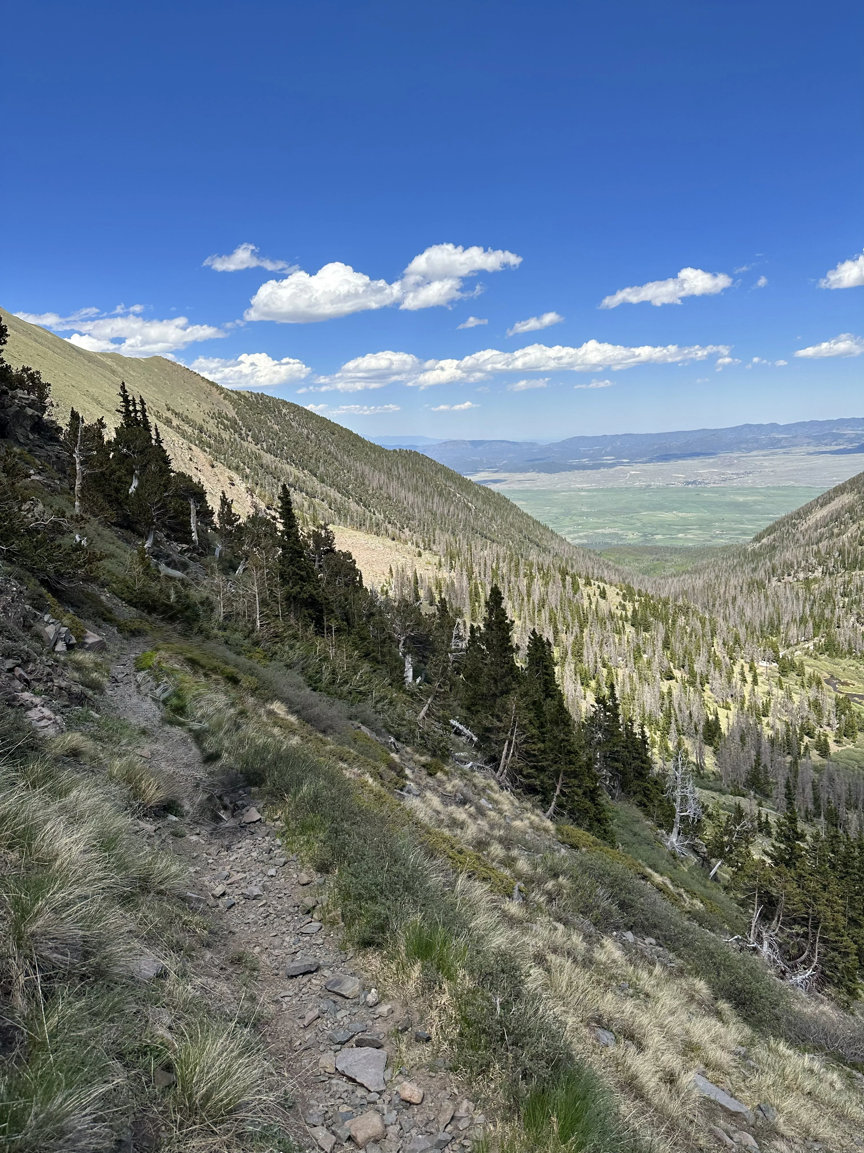 Alvarado Campground cover