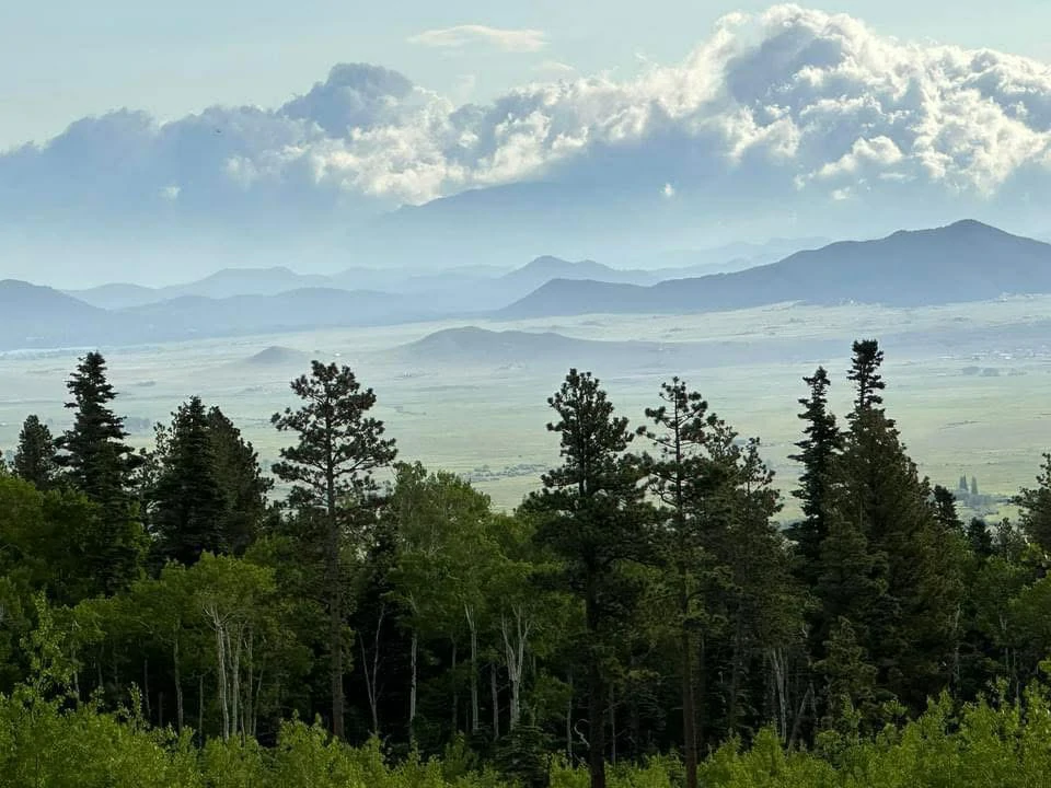 Alvarado Campground featured photo